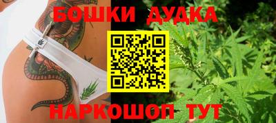 круглые Бердск