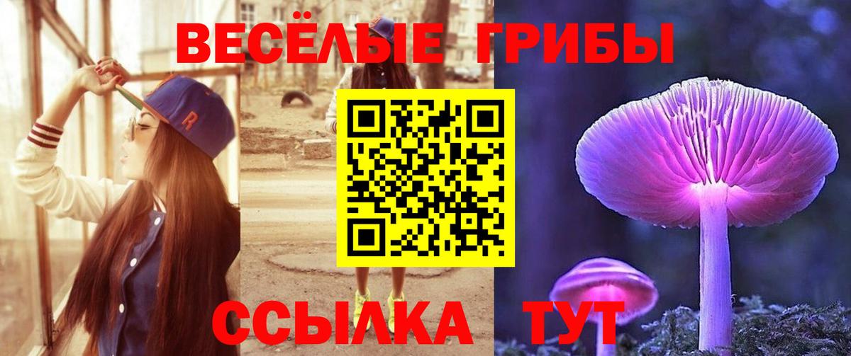 Галлюциногенные грибы Cubensis Петрозаводск